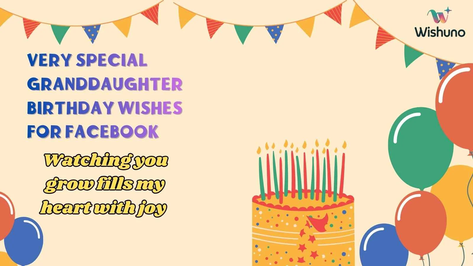 Very Special Granddaughter Birthday Wishes for Facebook