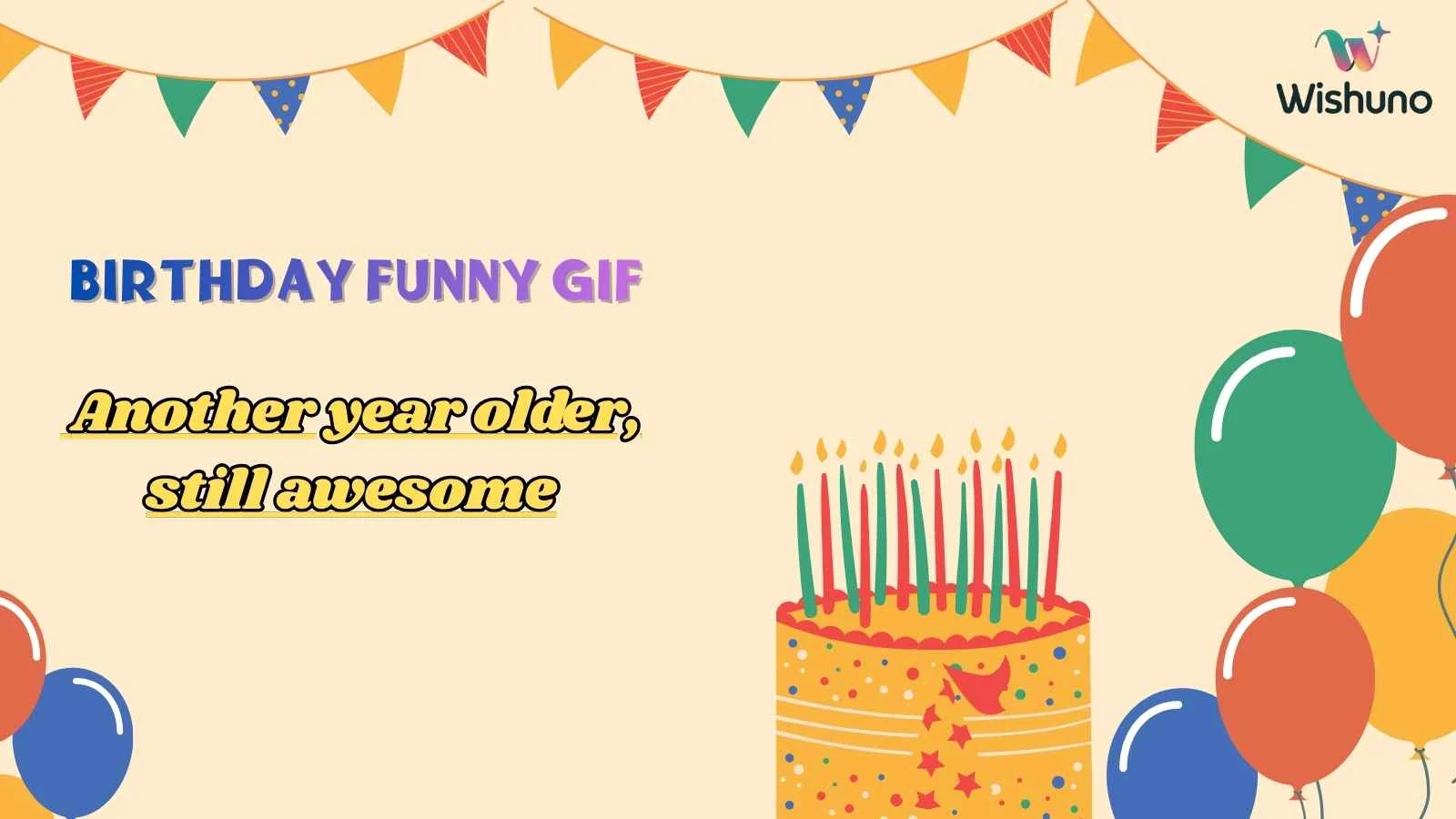 Birthday Funny GIF