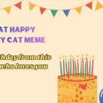 Funny Cat Happy Birthday Cat Meme